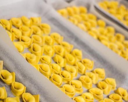 handmade fresh pasta