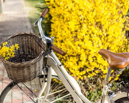 Noleggio biciclette